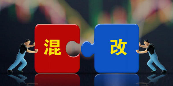 国有企业混合所有制改革亟须解决的重点问题改革纵横